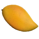 Totapuri-Mango