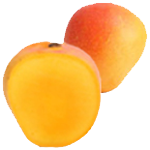 Alphonso-Mangoes-Bulk-Order