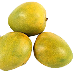 Malgova-Mango