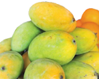 Rasalu-Mango